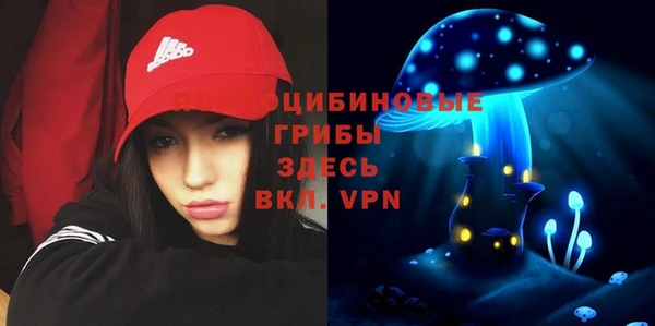 гашиш Богородицк