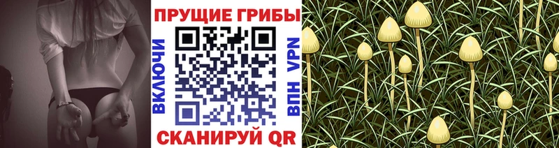 Галлюциногенные грибы мицелий MEGA зеркало Новокузнецк